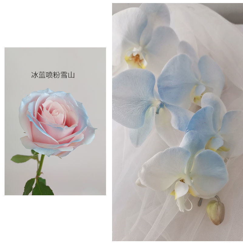 Jet de couleur de perle de fleur de MSDS 350ml, jet de peinture de fer-blanc pour des fleurs
